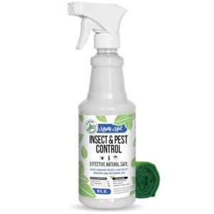 Mighty Mint Peppermint Oil Insect Repellent Spray – Indoor & Outdoor Bug Control for Spiders, Ants, Roaches, and More – Plant-Based, Extra-Strong Formula – 16 oz